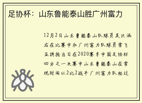 足协杯：山东鲁能泰山胜广州富力